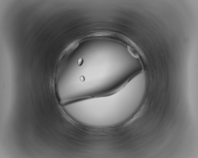 X0000115271417200911061259