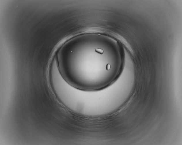 X0000115271419200911061259