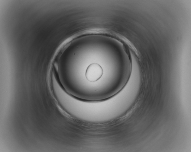 X0000115271421200911061259