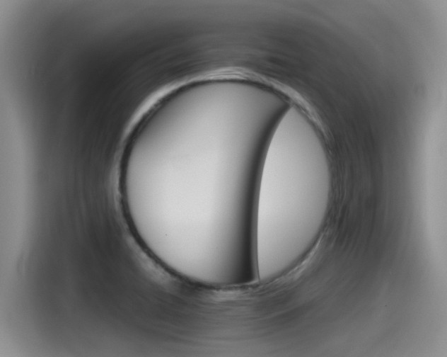 X0000115271422200911061259