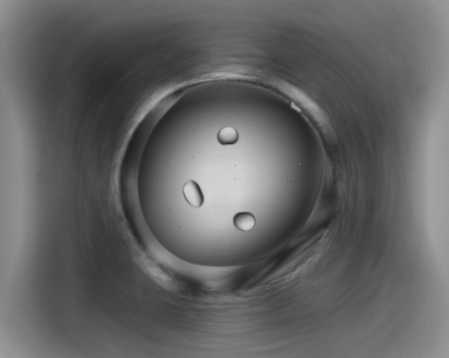 X0000115271423200911061259