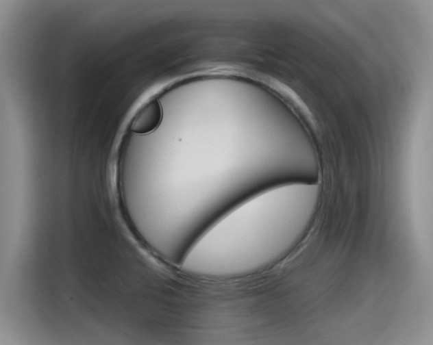 X0000115271424200911061259