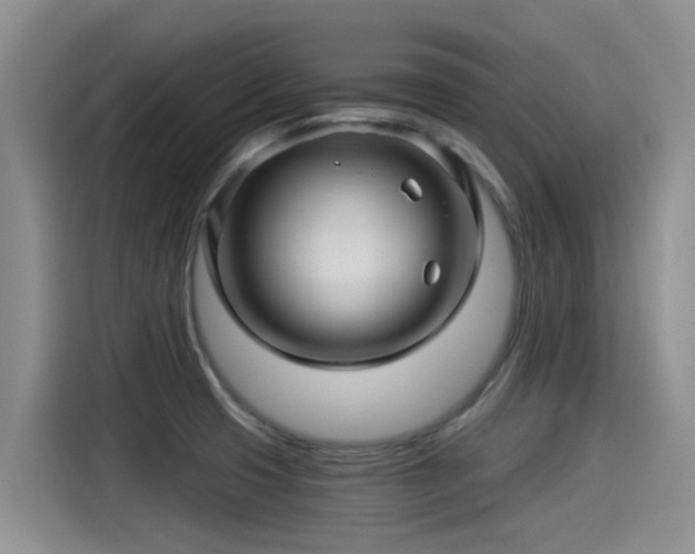 X0000115271425200911061259