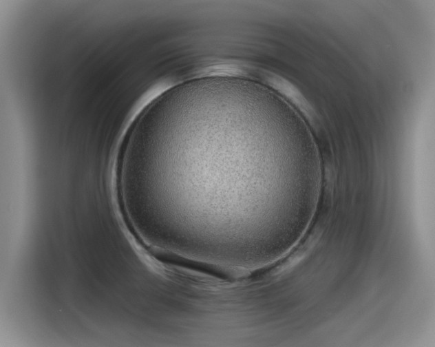 X0000115271426200911061259