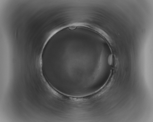 X0000115271428200911061259