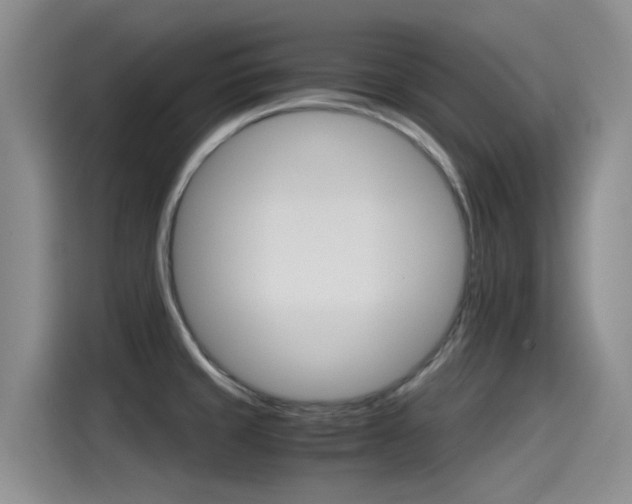 X0000115271429200911061259