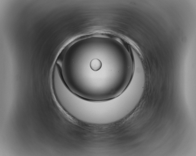 X0000115271431200911061259