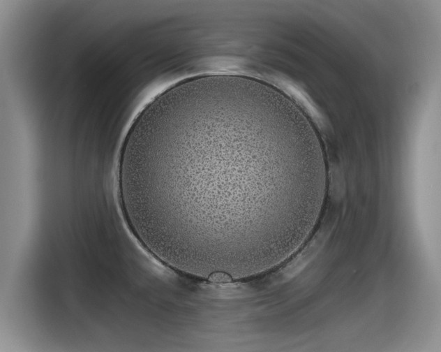 X0000115271432200911061259