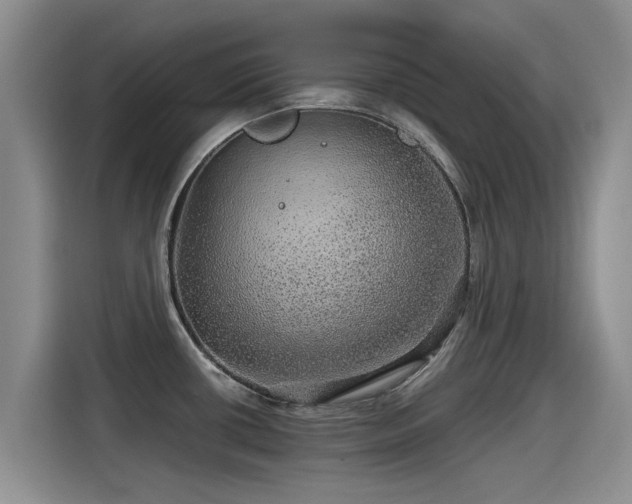 X0000115271434200911061259