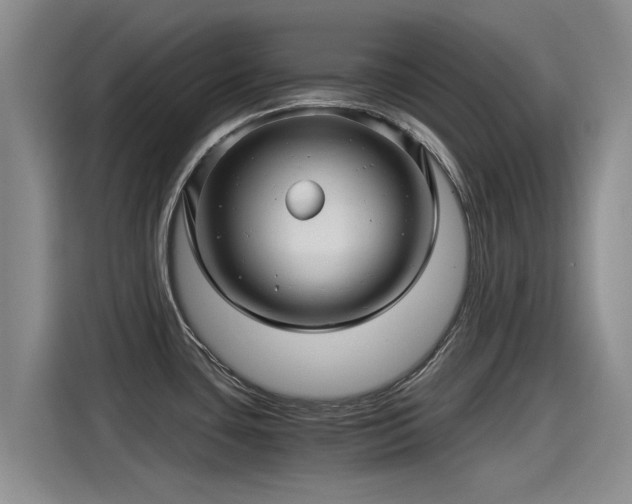 X0000115271435200911061259