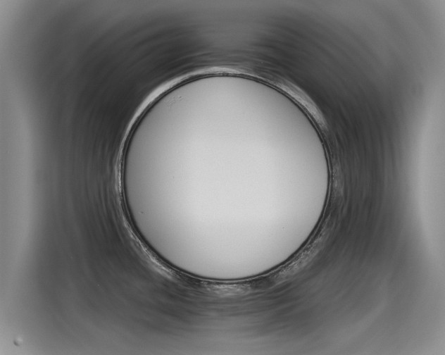 X0000115271436200911061259