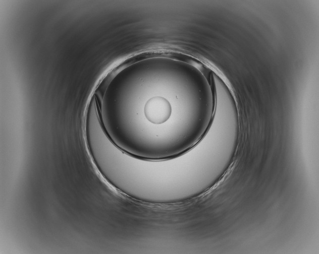 X0000115271437200911061259