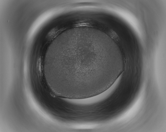 X0000115271438200911061259
