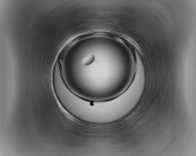 X0000115271439200911061259