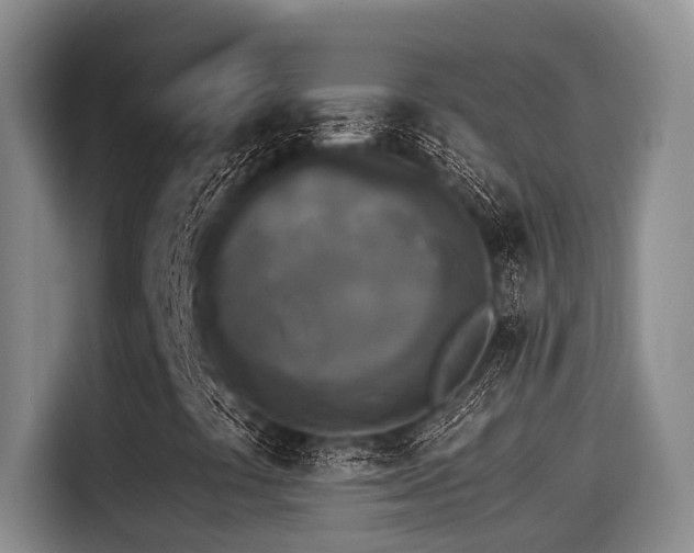 X0000115271441200911061258