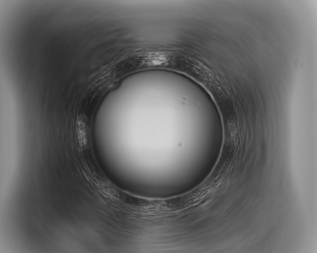X0000115271442200911061258