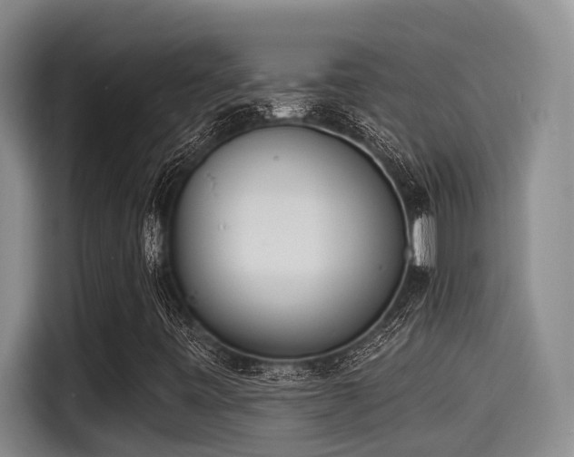X0000115271443200911061258