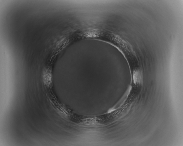 X0000115271444200911061258