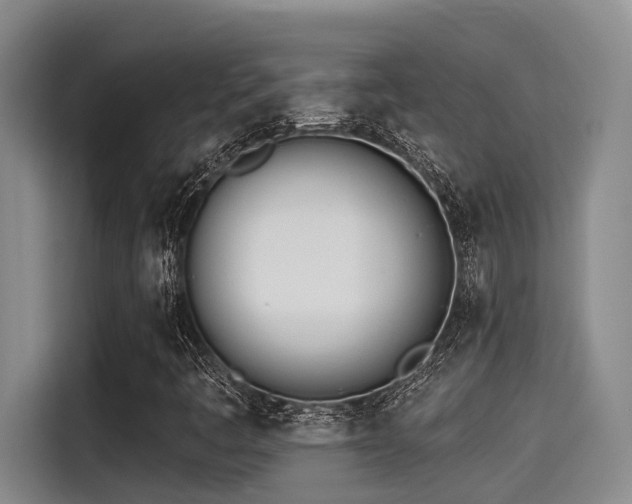 X0000115271445200911061258