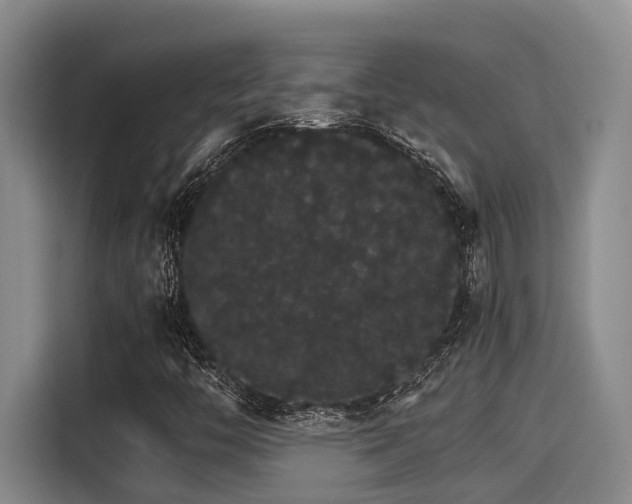 X0000115271446200911061258