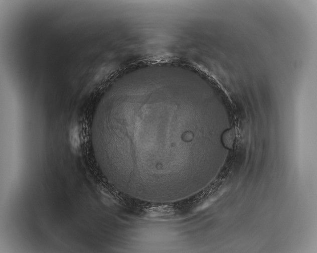 X0000115271447200911061258