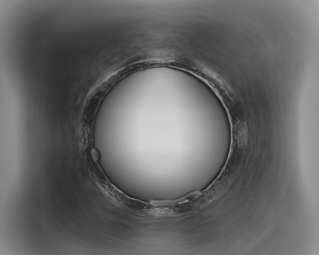 X0000115271448200911061258