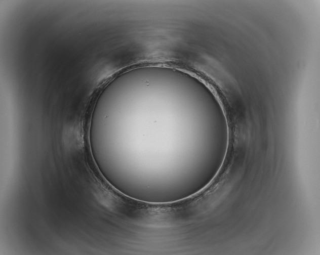 X0000115271451200911061258