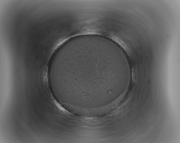 X0000115271452200911061258