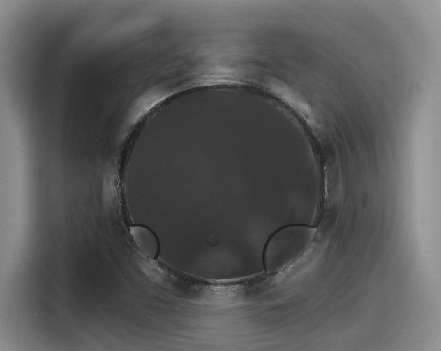 X0000115271453200911061258