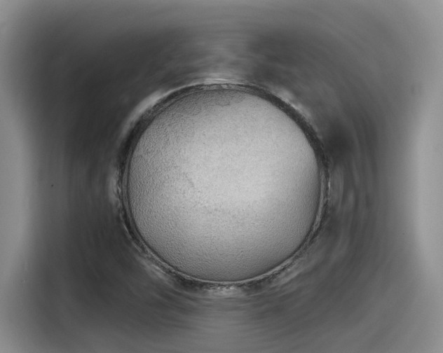 X0000115271454200911061258