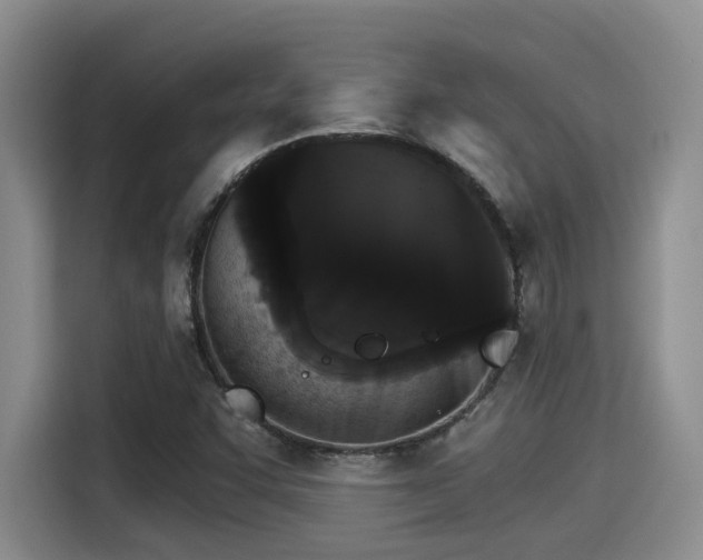 X0000115271455200911061258