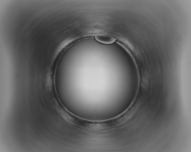 X0000115271458200911061258