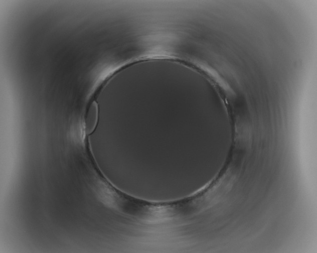 X0000115271461200911061258
