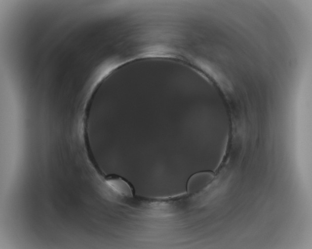 X0000115271463200911061258