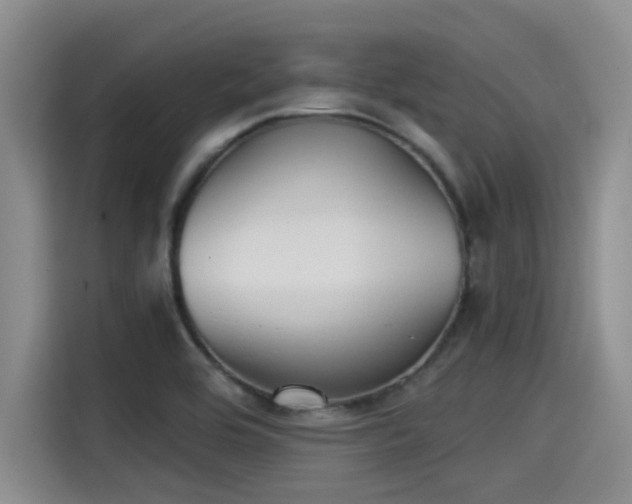X0000115271464200911061258