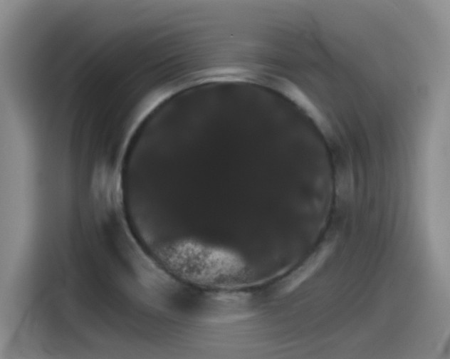 X0000115271466200911061258