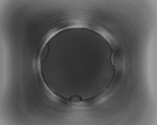 X0000115271468200911061258