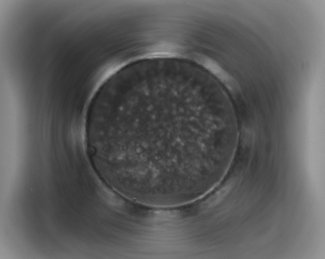 X0000115271469200911061258