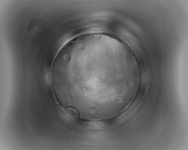 X0000115271473200911061258