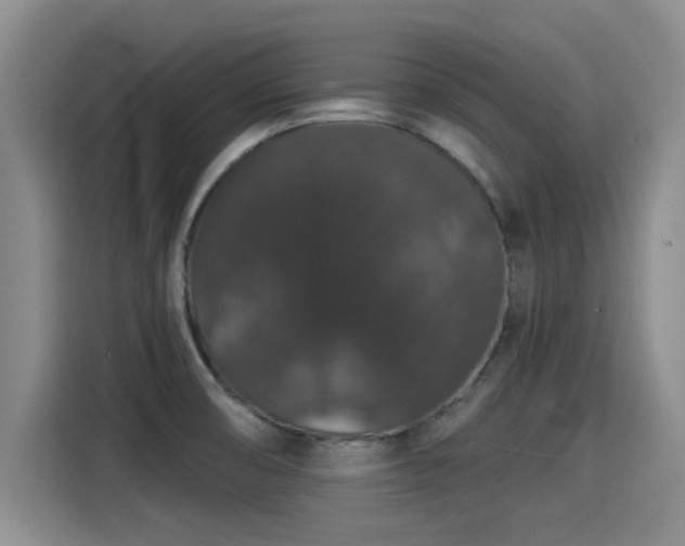 X0000115271474200911061258