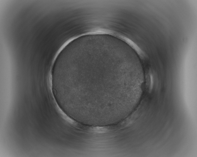X0000115271476200911061258