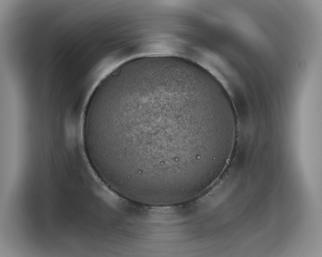 X0000115271477200911061258