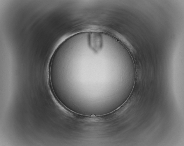 X0000115271479200911061258