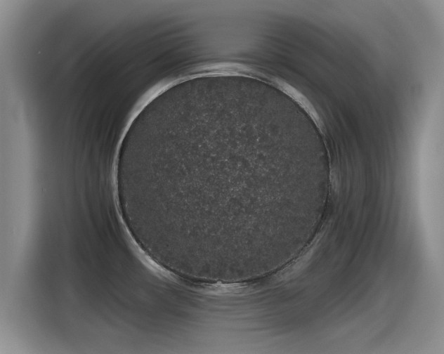 X0000115271482200911061258
