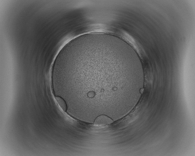 X0000115271483200911061258