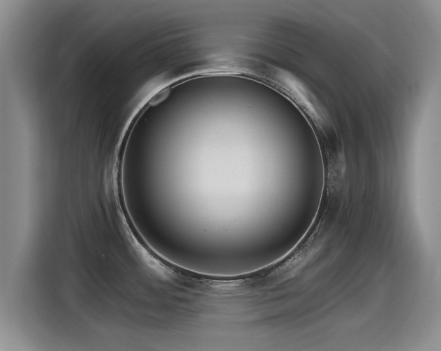 X0000115271484200911061258