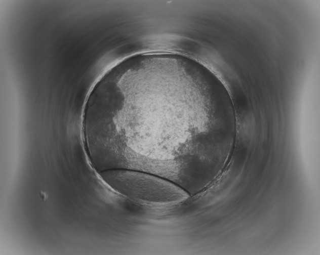 X0000115271485200911061258