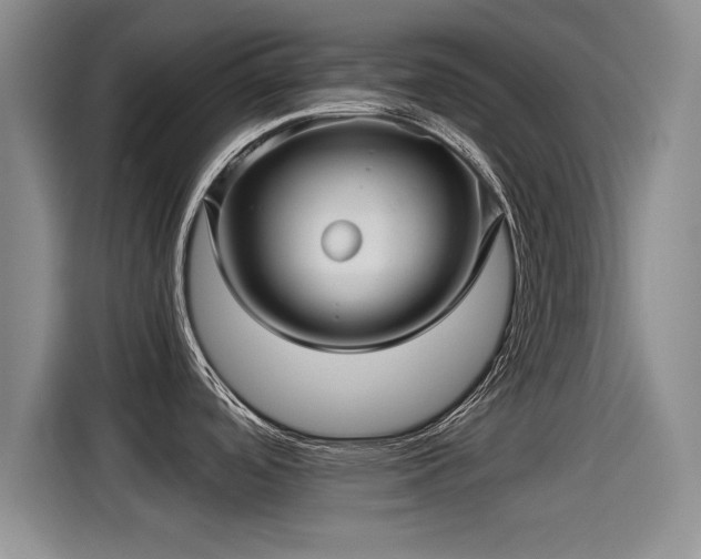 X0000115271488200911061258
