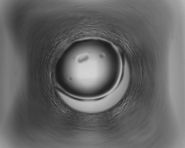 X0000115271489200911061257