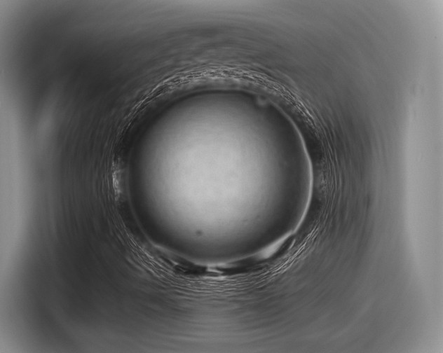 X0000115271490200911061257